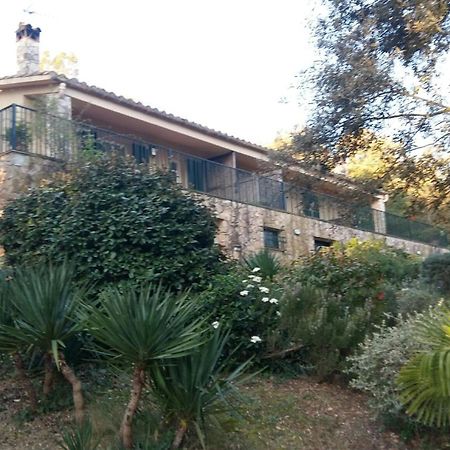 Mas Caterina Guest House Madremanya Exterior foto